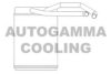 AUTOGAMMA 105232 Heat Exchanger, interior heating